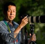 b站成人福利视频-成人世界的一隅,B站成人福利视频的多元视角