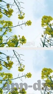 麻豆av在线导航-麻豆AV,在线导航的深思